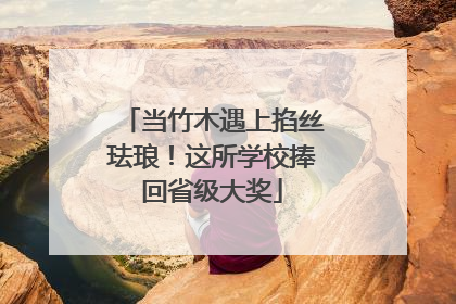 当竹木遇上掐丝珐琅！这所学校捧回省级大奖