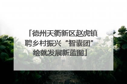 德州天衢新区赵虎镇聘乡村振兴“智囊团” 绘就发展新蓝图