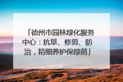 德州市园林绿化服务中心：抗旱、修剪、防治，精细养护保绿荫