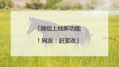 微信上线新功能！网友：赶紧改