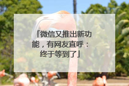 微信又推出新功能，有网友直呼：终于等到了
