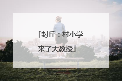 封丘：村小学来了大教授