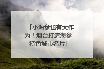 小海参也有大作为！烟台打造海参特色城市名片