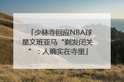 少林寺回应NBA球星文班亚马“剃发闭关”：人确实在寺里