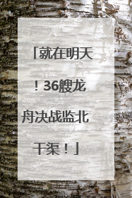 就在明天！36艘龙舟决战监北干渠！