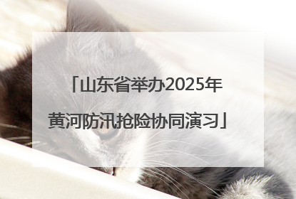山东省举办2025年黄河防汛抢险协同演习