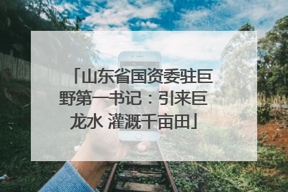 山东省国资委驻巨野第一书记：引来巨龙水 灌溉千亩田