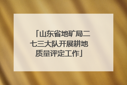 山东省地矿局二七三大队开展耕地质量评定工作