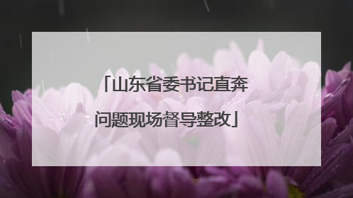 山东省委书记直奔问题现场督导整改