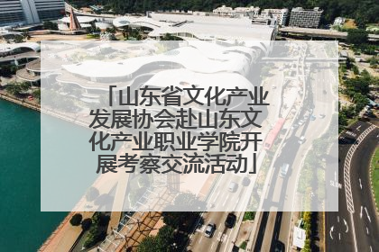 山东省文化产业发展协会赴山东文化产业职业学院开展考察交流活动
