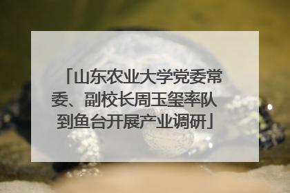 山东农业大学党委常委、副校长周玉玺率队到鱼台开展产业调研