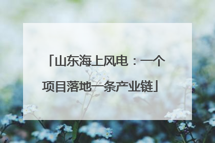 山东海上风电：一个项目落地一条产业链