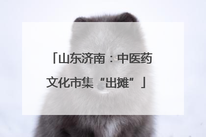 山东济南：中医药文化市集“出摊”