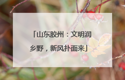 山东胶州：文明润乡野，新风扑面来