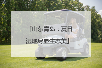 山东青岛：夏日湿地尽显生态美