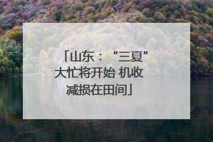山东：“三夏”大忙将开始 机收减损在田间