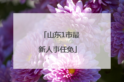 山东1市最新人事任免