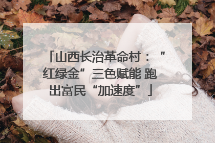 山西长治革命村：“红绿金”三色赋能 跑出富民“加速度”
