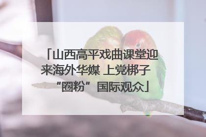 山西高平戏曲课堂迎来海外华媒 上党梆子“圈粉”国际观众