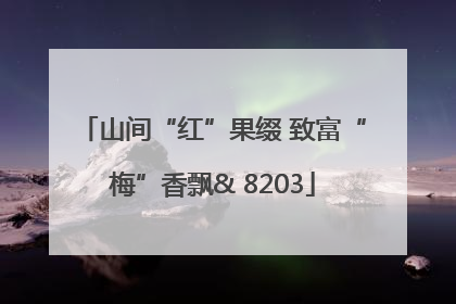 山间“红”果缀 致富“梅”香飘& 8203