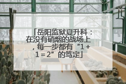 岳阳监狱夏升科：在没有硝烟的战场上，每一步都有“1＋1＝2”的笃定