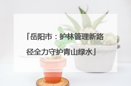 岳阳市：护林管理新路径全力守护青山绿水