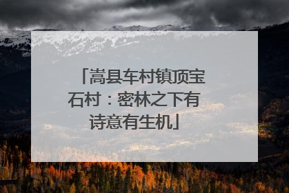 嵩县车村镇顶宝石村：密林之下有诗意有生机