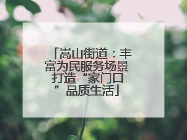 嵩山街道：丰富为民服务场景 打造“家门口”品质生活