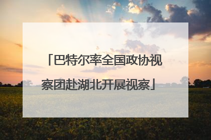 巴特尔率全国政协视察团赴湖北开展视察