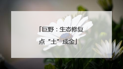 巨野：生态修复点“土”成金