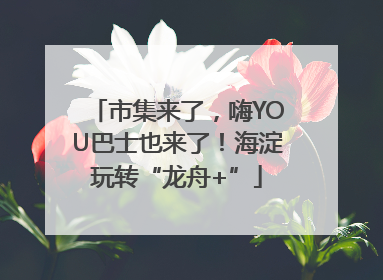 市集来了，嗨YOU巴士也来了！海淀玩转“龙舟+”