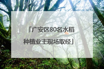 广安区80名水稻种植业主现场取经