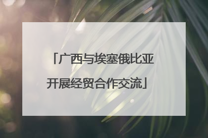 广西与埃塞俄比亚开展经贸合作交流