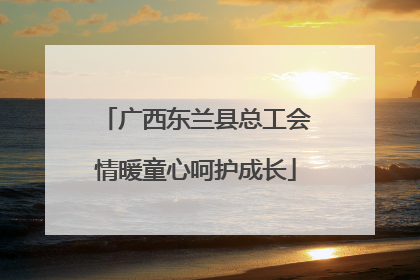 广西东兰县总工会情暖童心呵护成长