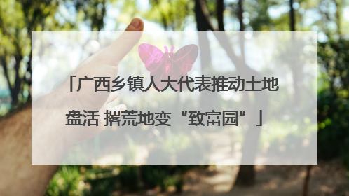广西乡镇人大代表推动土地盘活 撂荒地变“致富园”