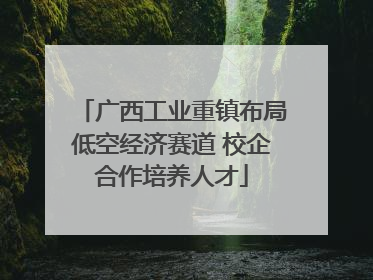 广西工业重镇布局低空经济赛道 校企合作培养人才