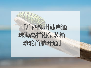 广西柳州港直通珠海高栏港集装箱班轮首航开通