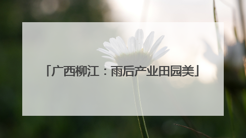 广西柳江：雨后产业田园美