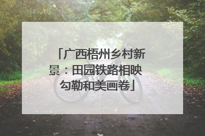 广西梧州乡村新景：田园铁路相映 勾勒和美画卷