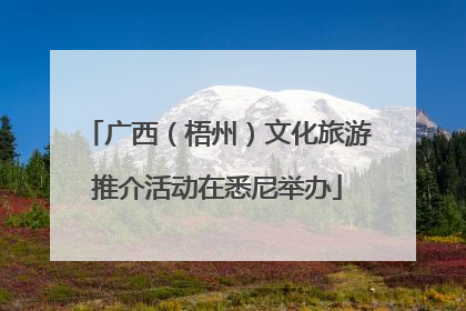 广西（梧州）文化旅游推介活动在悉尼举办