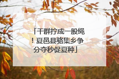 干群拧成一股绳！夏邑县骆集乡争分夺秒促夏种