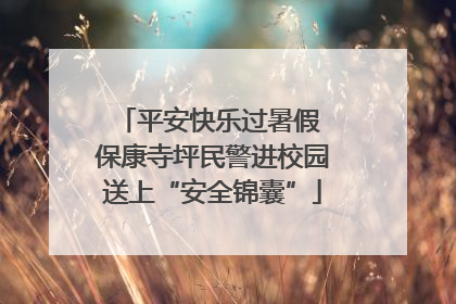 平安快乐过暑假 保康寺坪民警进校园送上“安全锦囊”