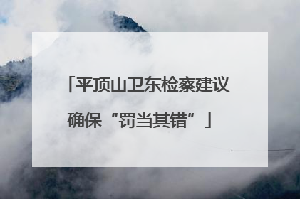 平顶山卫东检察建议确保“罚当其错”
