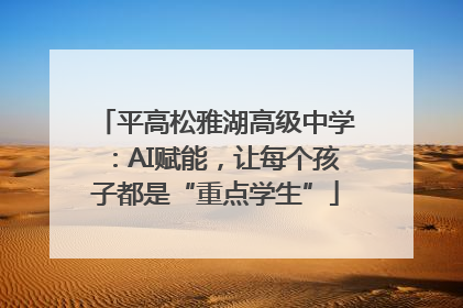 平高松雅湖高级中学：AI赋能，让每个孩子都是“重点学生”