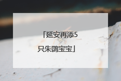 延安再添5只朱鹮宝宝