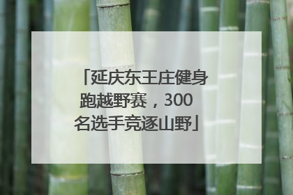 延庆东王庄健身跑越野赛，300名选手竞逐山野