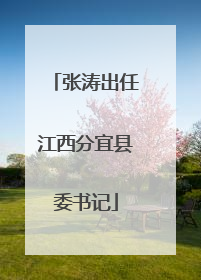 张涛出任江西分宜县委书记
