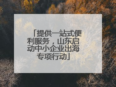 提供一站式便利服务，山东启动中小企业出海专项行动