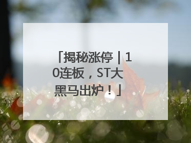 揭秘涨停｜10连板，ST大黑马出炉！