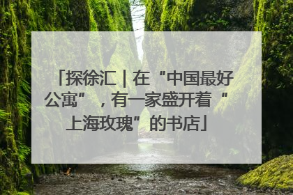 探徐汇｜在“中国最好公寓”，有一家盛开着“上海玫瑰”的书店